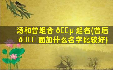 汤和曾组合 🐵 起名(曾后 🍁 面加什么名字比较好)